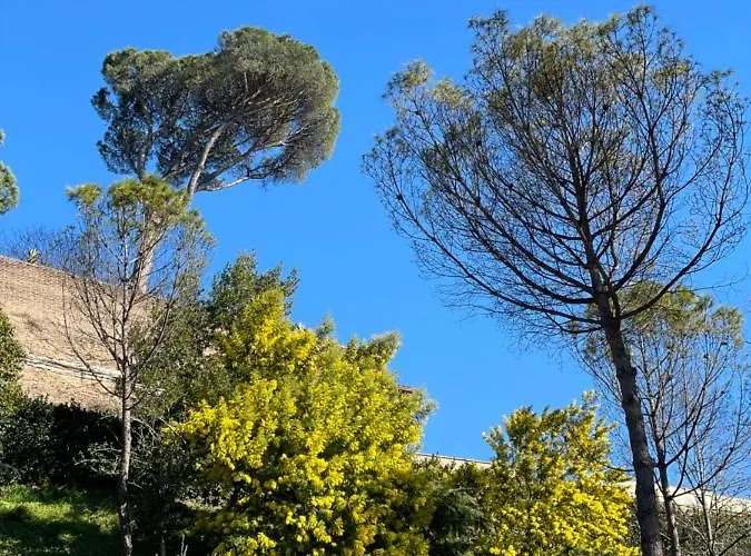 Appartement Vatican Holidays House Rome
